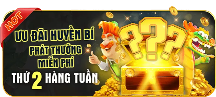 Banner hoàn trả thể thao hàng ngày/tuần không giới hạn