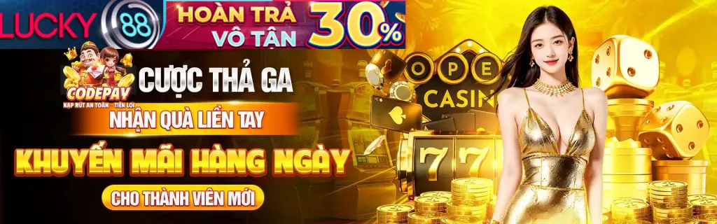 Điền thông tin đăng nhập SCR99